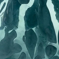 Cartshaw Vase - Image 8