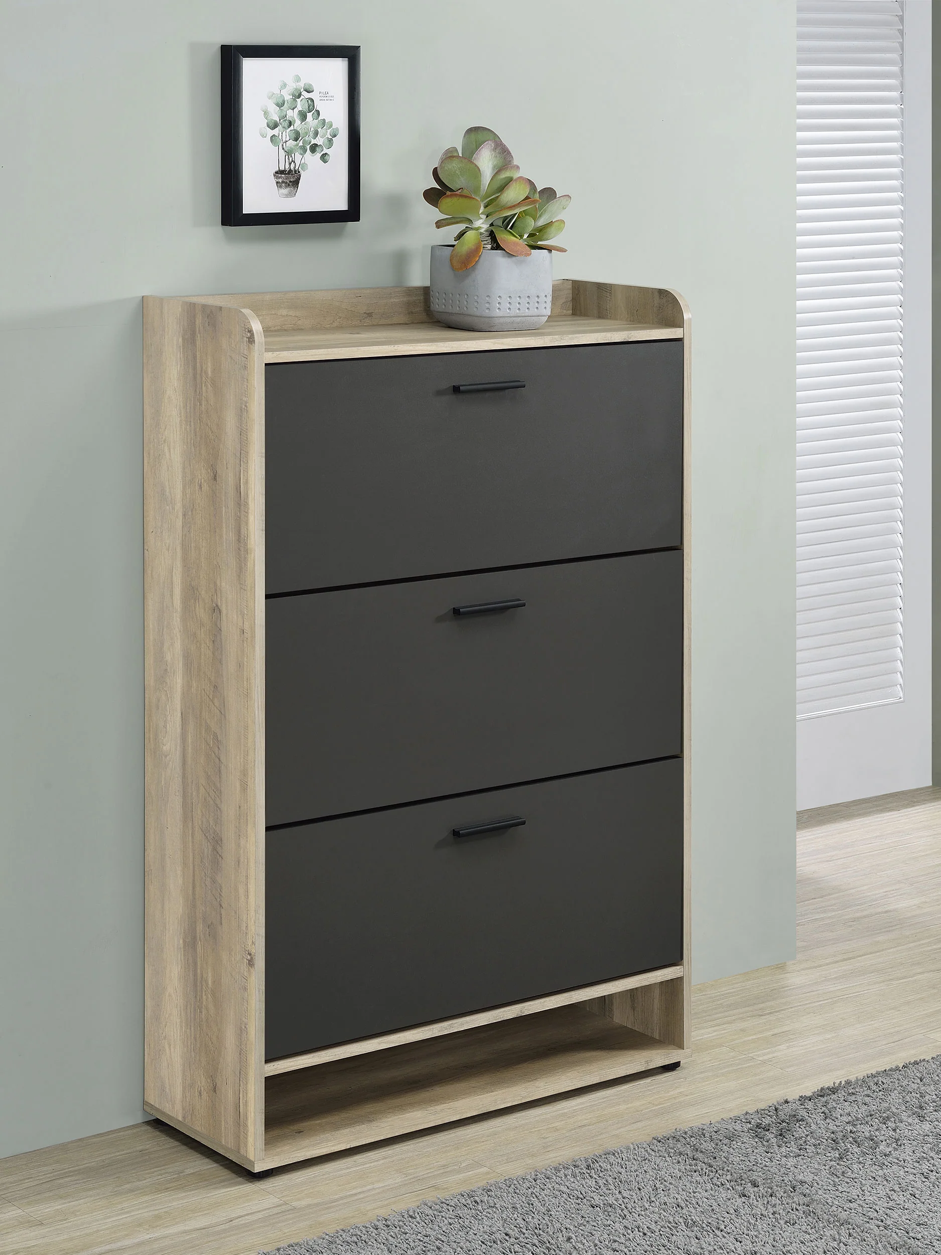 Denia Shoe Cabinet - Image 15