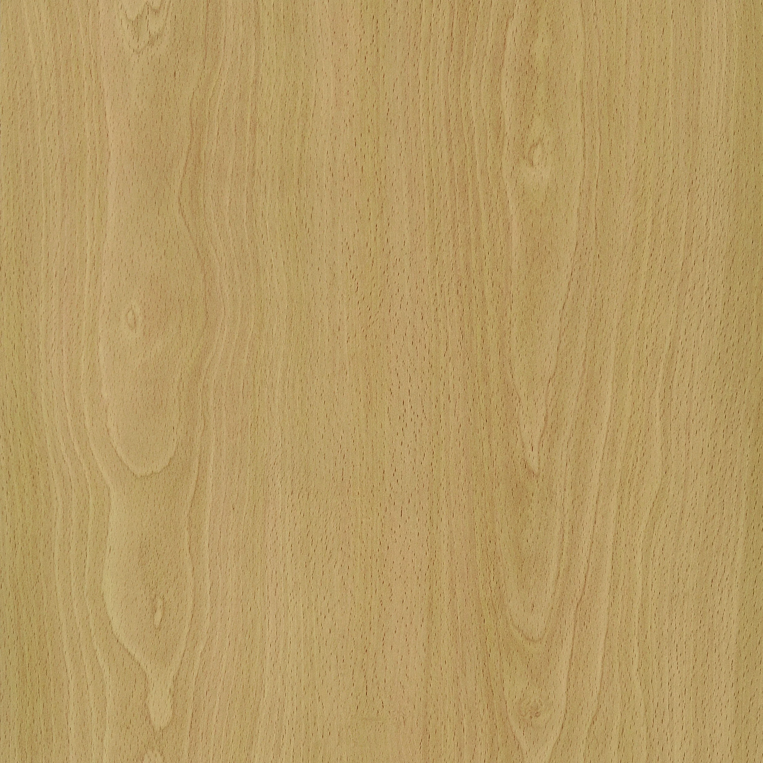Mattison Four-Panel Room Divider - Image 5