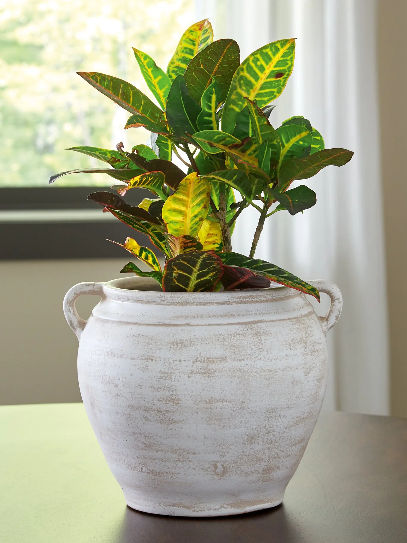 Meadie Vase - Image 21