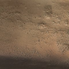 Wallmen Tray - Image 5