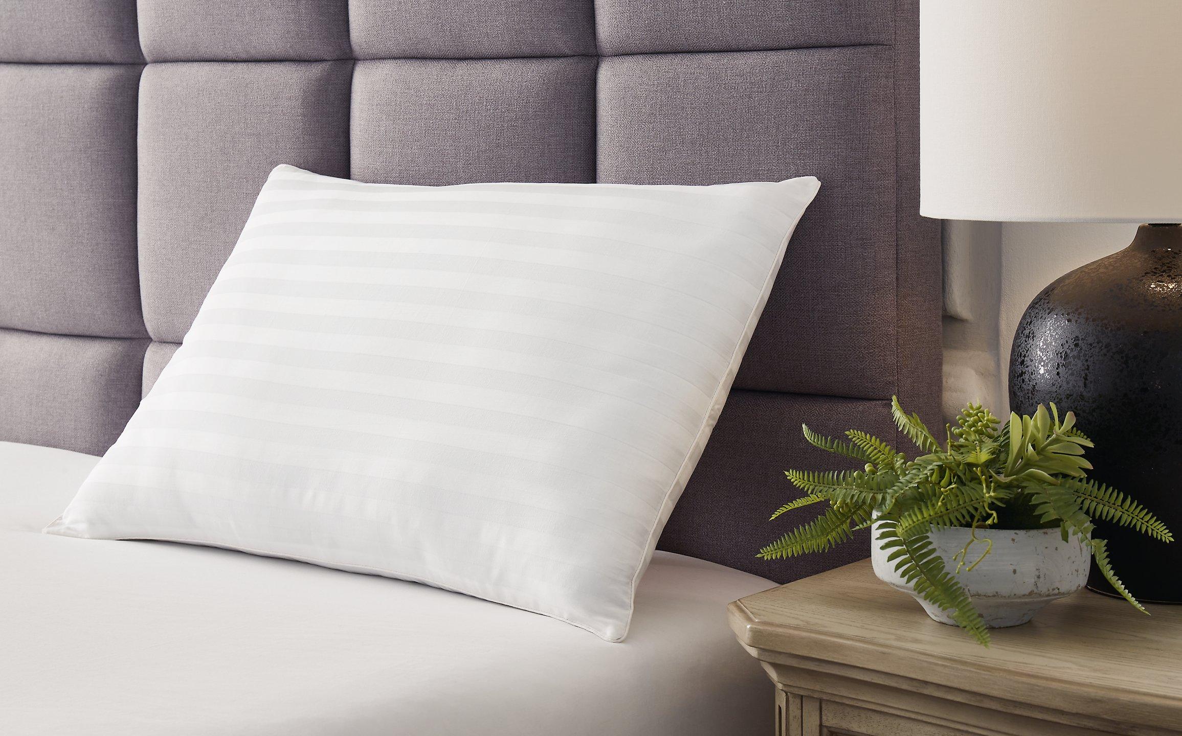 Zephyr 2.0 Cotton Pillow (Set of 2) - Image 2